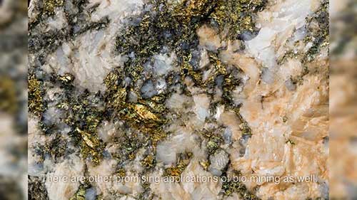 未来的生物采矿