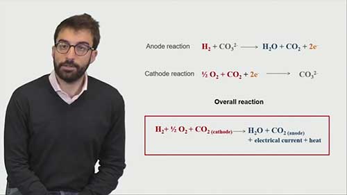 熔融碳酸盐燃料电池的工作原理