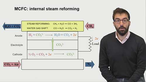 熔融碳酸盐燃料电池的燃料