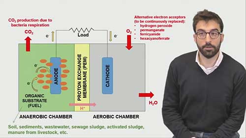微生物燃料电池的工作原理