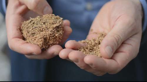 用蘑菇建造可持续房屋