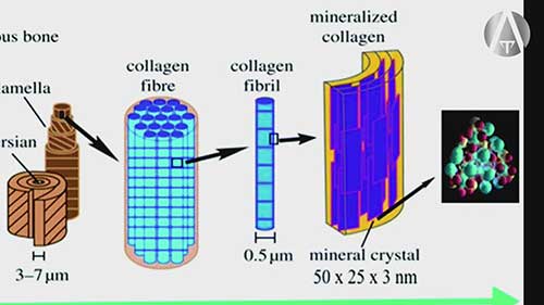 航空用复合材料：碳纤维、玻璃纤维和凯夫拉纤维