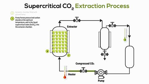 超临界二氧化碳萃取