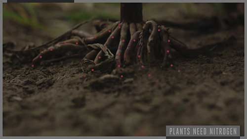 养活全球人的化学反应