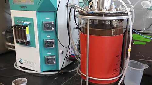 生物燃料放大生产的研究