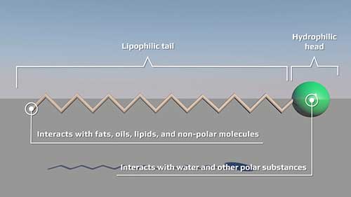 三维动画演示肥皂的作用