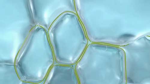 巴斯夫用于油漆和涂料的消泡剂