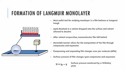 界面化学11脂类