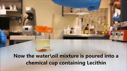 卵磷脂的乳化作用