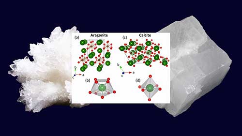 复合磺酸钙润滑脂