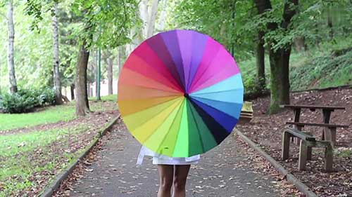 颜色视觉的世界