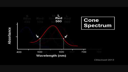 颜色视觉5互补处理理论