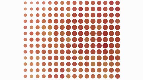 光栅图像处理器工作原理