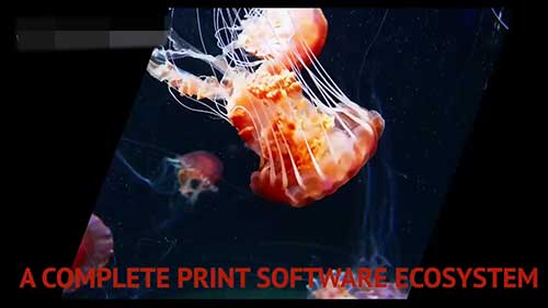 光栅图像处理器的图像处理