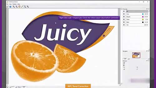 光栅图像处理器中的色调校正