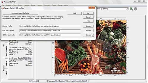 光栅图像处理器色彩模拟2