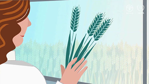 标记辅助育种技术