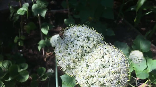 常见作物种子的保存