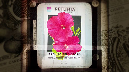 保存和提高种子质量