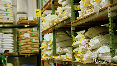 参观一家种子公司