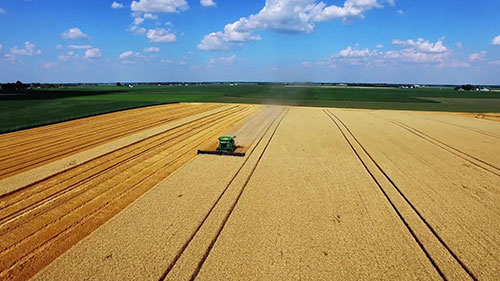 什么是种子处理