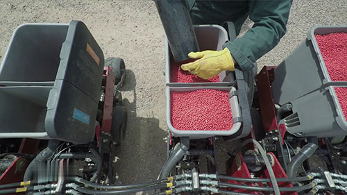 玉米和大豆的种子处理