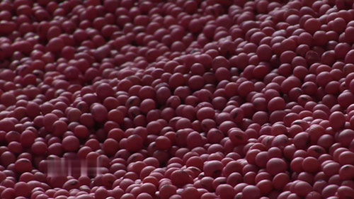 大豆种子处理的方法