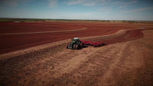 设计玉米杂交品种
