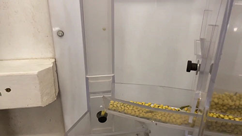 种子的清洁和干燥