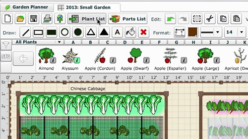 如何选择最佳的种子