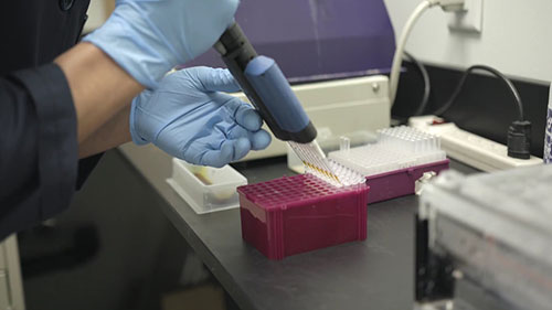 了解种子测试工作