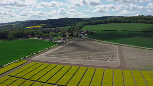 用生物制剂保护种子
