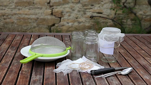 常见的种子处理方法