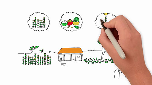 种子供应和农业健康