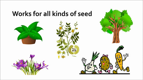 简单的种子活力测试
