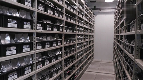 种子库和种子研究