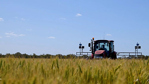 数据技术和小麦育种
