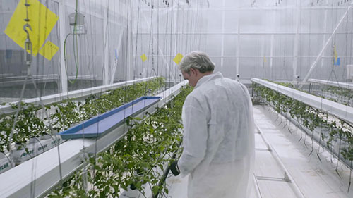 农业科技和创新