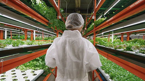 垂直农业的缺点