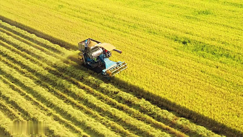 垂直农场内的创新科技