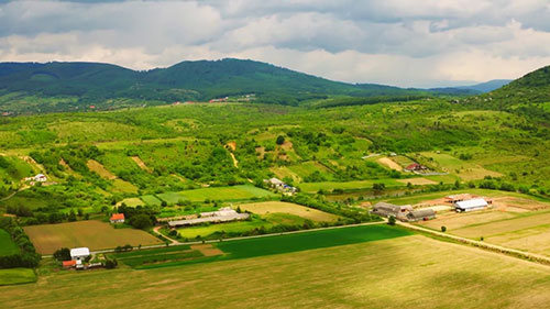 农业自动化和机器人