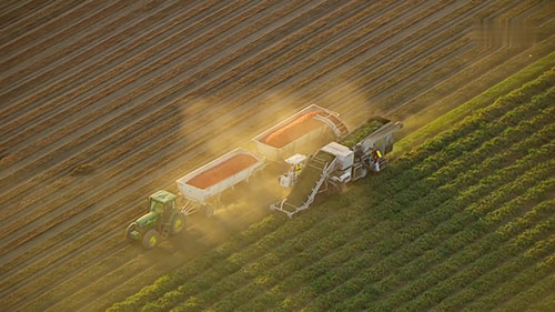 发展垂直农业耕作方式