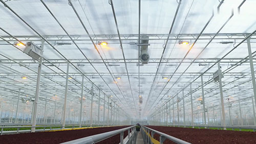 室内农场和农业技术