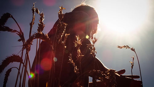 无人驾驶全自动拖拉机