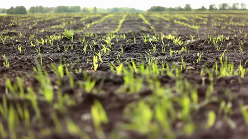 高科技自动农业车辆