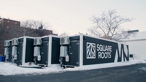 集装箱里的室内农场