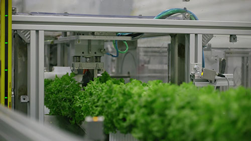 建立一座室内农场