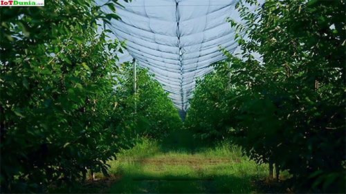 什么是智能农业