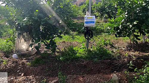 精准农业和灌溉施肥