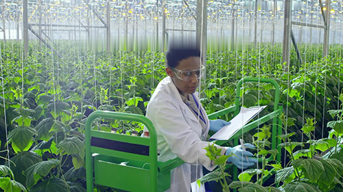 智能农业技术的应用